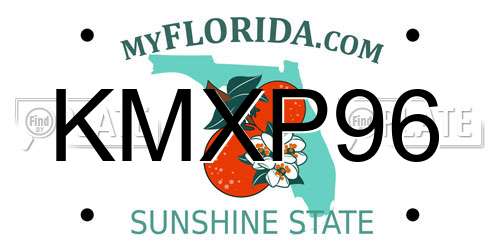 KMXP96 Florida License Plate