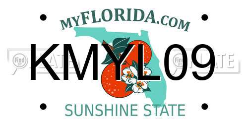 KMYL09 Florida License Plate