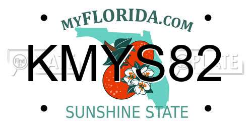 KMYS82 Florida License Plate