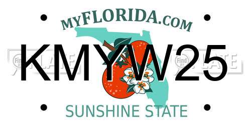 KMYW25 Florida License Plate
