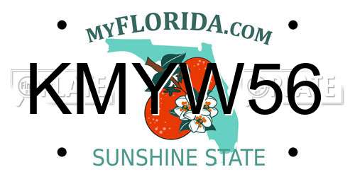 KMYW56 Florida License Plate