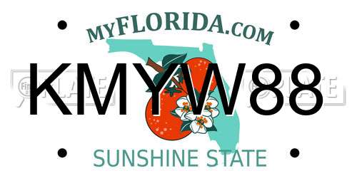 KMYW88 Florida License Plate