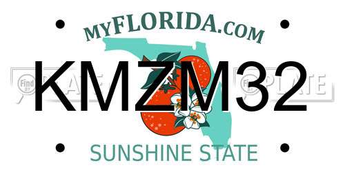 KMZM32 Florida License Plate