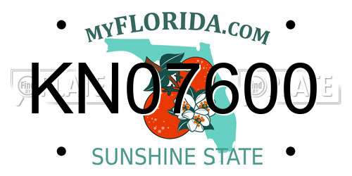 KN07600 Florida License Plate