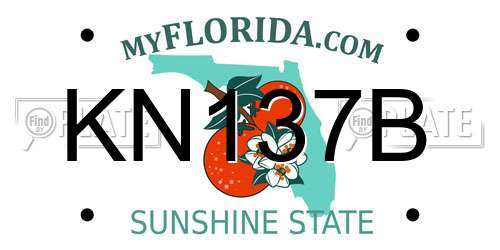 KN137B Florida License Plate