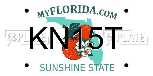 KN15T Florida License Plate