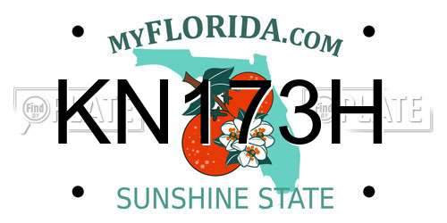 KN173H Florida License Plate