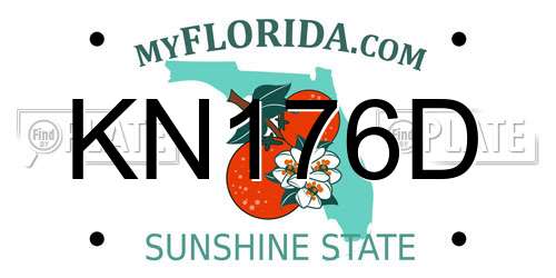 KN176D Florida License Plate
