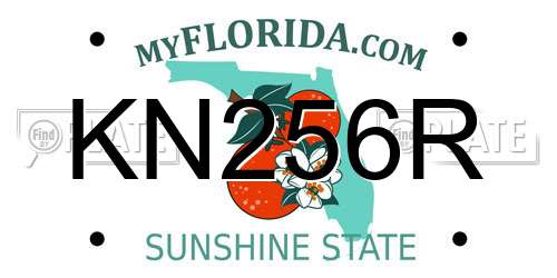KN256R Florida License Plate