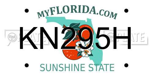 KN295H Florida License Plate