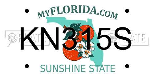 KN315S Florida License Plate