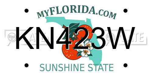 KN423W Florida License Plate