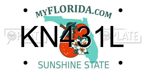 KN431L Florida License Plate