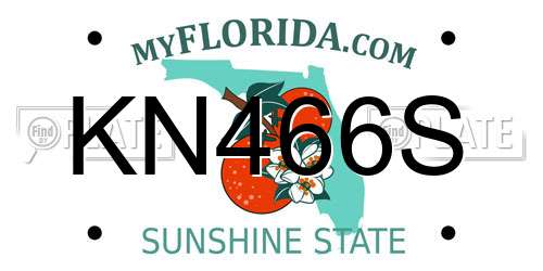 KN466S Florida License Plate