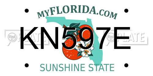 KN597E Florida License Plate