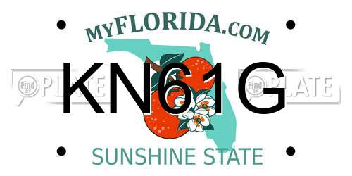 KN61G Florida License Plate