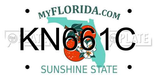 KN661C Florida License Plate