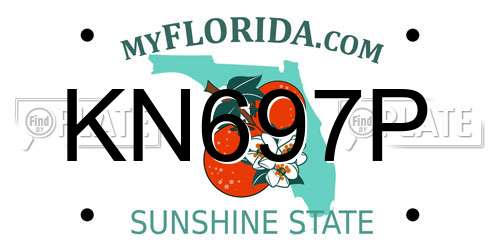 KN697P Florida License Plate