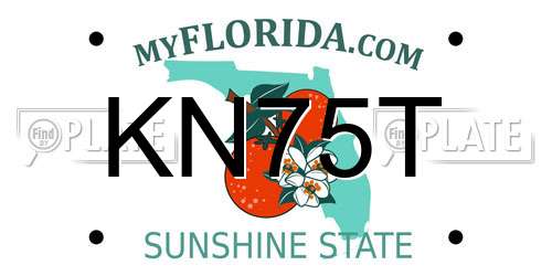 KN75T Florida License Plate