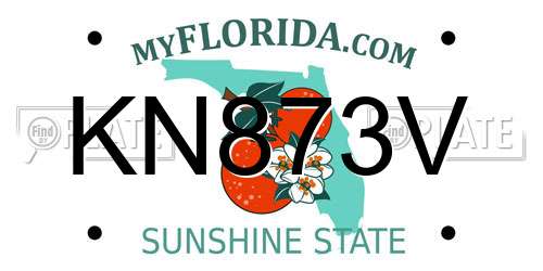 KN873V Florida License Plate