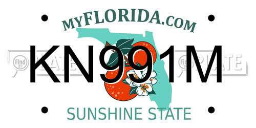 KN991M Florida License Plate