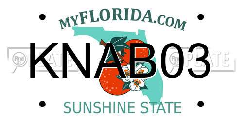 KNAB03 Florida License Plate