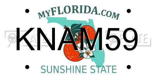 KNAM59 Florida License Plate