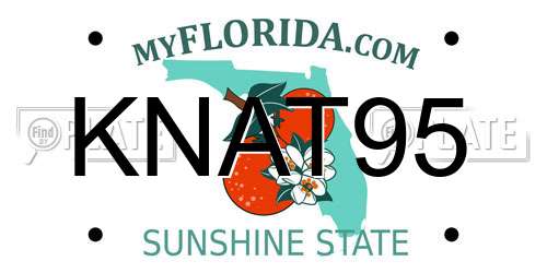 KNAT95 Florida License Plate