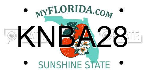 KNBA28 Florida License Plate
