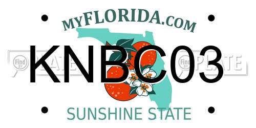 KNBC03 Florida License Plate