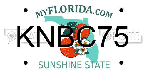 KNBC75 Florida License Plate