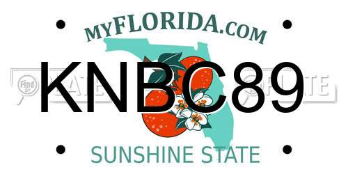 KNBC89 Florida License Plate