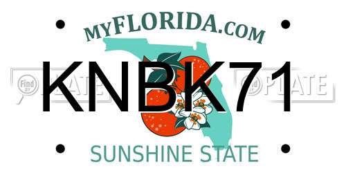 KNBK71 Florida License Plate