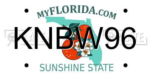 KNBW96 Florida License Plate