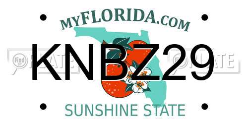 KNBZ29 Florida License Plate