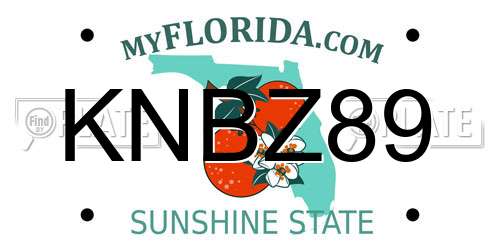 KNBZ89 Florida License Plate