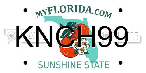 KNCH99 Florida License Plate