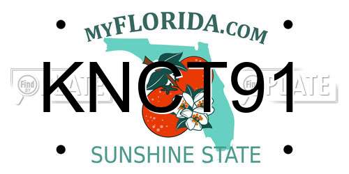 KNCT91 Florida License Plate