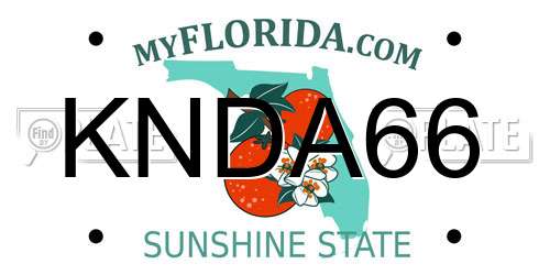 KNDA66 Florida License Plate