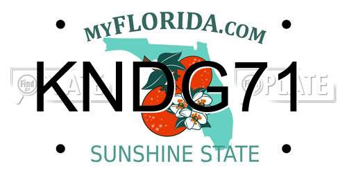 KNDG71 Florida License Plate