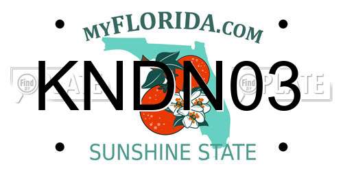KNDN03 Florida License Plate