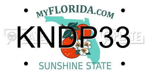 KNDP33 Florida License Plate