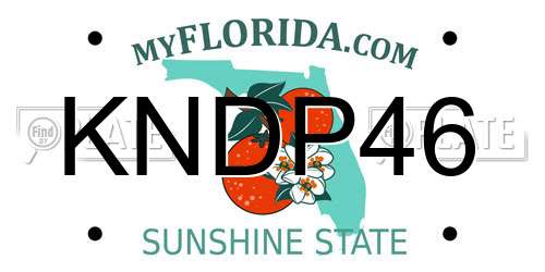 KNDP46 Florida License Plate