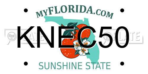 KNEC50 Florida License Plate