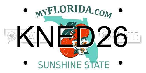 KNED26 Florida License Plate