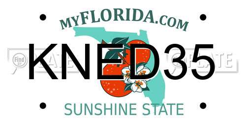 KNED35 Florida License Plate