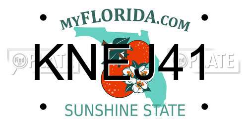 KNEJ41 Florida License Plate