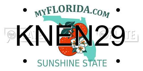 KNEN29 Florida License Plate