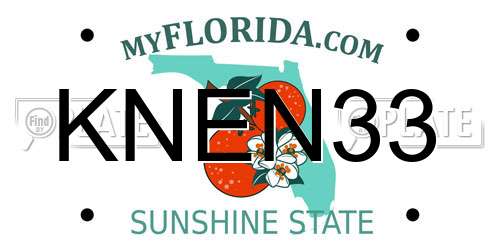 KNEN33 Florida License Plate