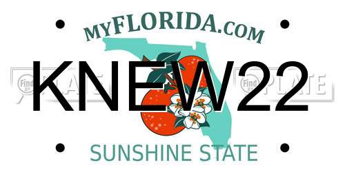 KNEW22 Florida License Plate